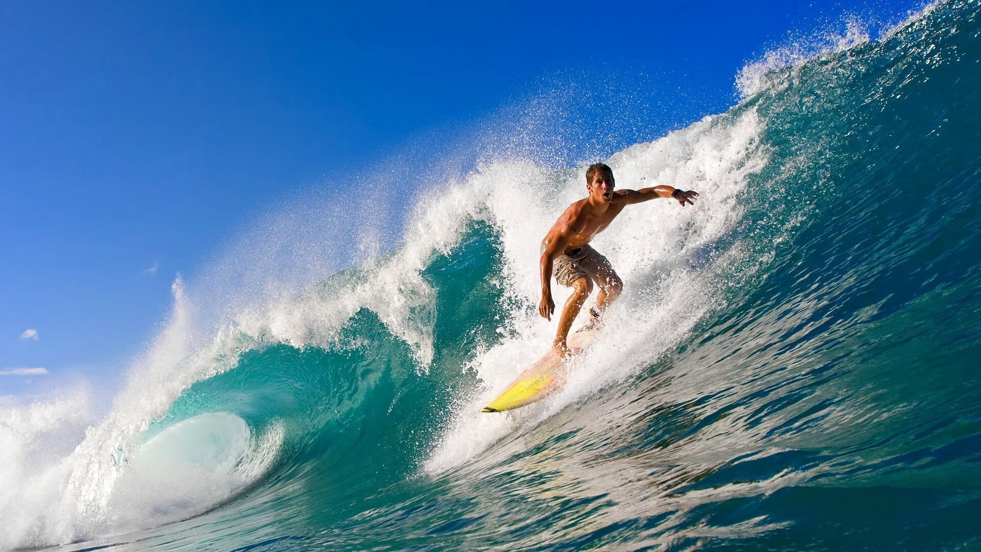 _环湖骑行节：骑车赏景，感受大自然_，骑自行车环湖游作文